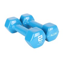 아리프 PVC 컬러 육각 아령 2kg, 2개