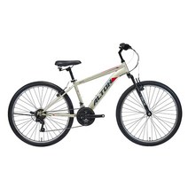 알톤스포츠 2022 콜리스 21 26 MTB 자전거 미조립박스배송, 180cm, 라이트그레이