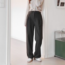 수비진 여성용 투버튼 핀턱 와이드 스판 슬랙스 SL5133