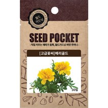 월드가드닝 정원 텃밭 좋은 메리골드, 1개