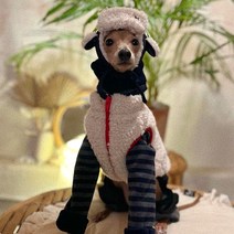 까니쉬 강아지 군밤모자 + 지퍼 곰 후리스 세트, 네이비(모자), 화이트(후리스)