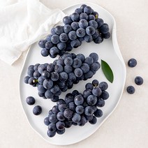 프레시픽 유명산지 캠벨포도, 1팩, 1kg