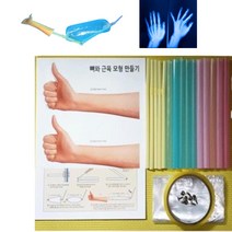 5인 팔 근육 모형 만들기 키트 신체 기초 파악 초등과학 교구
