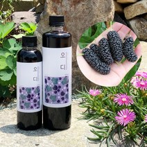 (무농약)오디원액 전남해남 깊은산속 3년숙성 김순식 직접따서 담근, 1개, 300ml