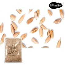 [희주몰] 선인 선별 해바라기씨 1kg, 1개