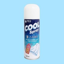 여름 의류 쿨링 스프레이 상쾌한 냉각 옷 땀 냄새 제거제 멘톨, 220ml