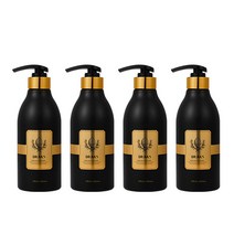 닥터란 탈모증상완화 기능성 블랙 계란 탈모샴푸, 4개, 500ml