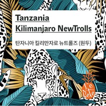 [UMB][레베떼커피] 탄자니아 킬리만자로 뉴트롤즈 원두커피 / 홀빈 / 200g