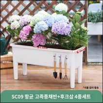 킹마이크로 플라스틱 항균 고각종채반+후크삽 4종세트 대 4세트 수경재배 스마트팜 채소 야채 식재용, 단품
