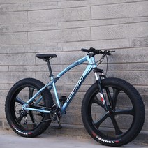 입문용 24단 로드 팻바이크 출퇴근 자전거 26인치 펫바이크 스타 블루, 24 속도, 바퀴큰 클래식자전거 비앙키 그린 쓰리 나이프