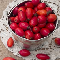 [버블빈] 로즈힙오일(정제)-Rosehip Oil, 1개, 100ml