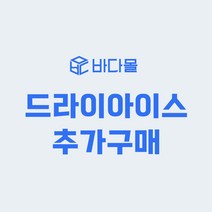 [바다몰] 드라이아이스 1P (단독구매불가), 1개, 1개