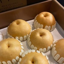 22년 수확 햇 나주배 선물세트 GAP인증 고당도 신고배, 선물용 5kg(5~7과)
