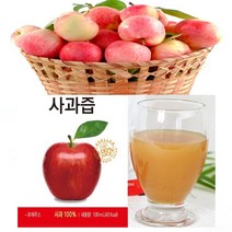 아름다운정성 국산 사과즙 100ml 100포 저온살균 NFC주스 아침대용 디톡스 아기간식 간편섭취 휴대용 변비개선 임산부