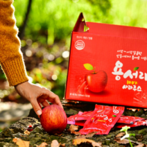 용서리 사과즙 100% 사과쥬스 안동사과주스, 50팩