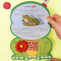 초등 어린이 개구리 성장과정 학습활동지 북아트 4개 엄마표놀이 집콕생활 스토리 장식품