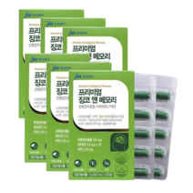 기억력영양제 징코 30정, 1개