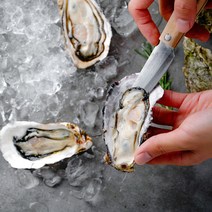 통영 생굴 하프셀 반각굴 생물 30미 50미 100미 굴석화 석굴 제철 당일작업, 반각굴 (하프셀) 30미 내외