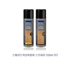 [P1G] 스웨이드 색상 복원제 스프레이 250ml 분사형 5종 / 신발 에나멜 광택제 누벅 클리너 보호제 크리너 가방세탁 보호 얼룩제거 다기능 의류 오염 ( P1G / 559987EA ), 무색