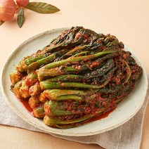 [KT알파쇼핑]여수노반장 여수돌산갓김치 1.5kg 국내산 외 기타김치, 김치:갓물김치 1.5kg