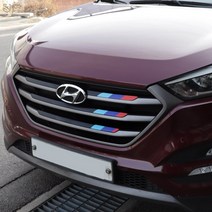 JS automotive 올뉴투싼 범퍼 라디에이터 그릴튜닝 스티커 필름 랩핑 커버 기스방지 패널 악세사리 용품, 독일(조수석)