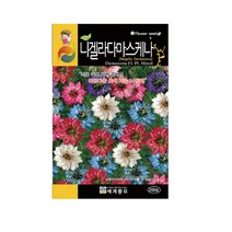 모칸도 (무배)세계 니켈라다마스케나씨앗(200립)