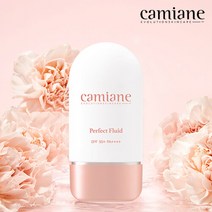 카미안느 톤업 선크림 퍼펙트플루이드 65g, 카미안느 퍼펙트 플루이드 65g