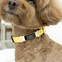 강아지 고양이 인식표 이름표 실리콘 네임택 목줄, 블루, 검정