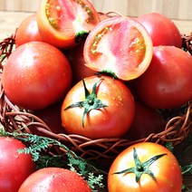 푸르젠 전남 장흥 이도영님의 무농약 완숙토마토 3kg (1~2번), 단품없음