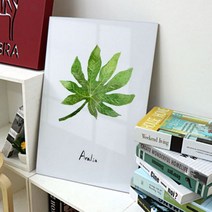 꾸밈 ca114-아크릴액자싱그러운햇살머금은잎 액자, 1타입-아랄리아