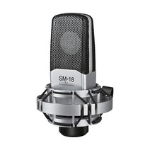 강의용 휴대용 마이크 Takstar SM-18EL 카디오이드 보컬 콘덴서 마이크 스튜디오 팟 캐스팅 및 앰프 스트리, 01 microphone