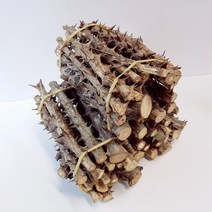 자연공방선율 옻나무 10묶음 1망 엄나무 해동피 옻피 삼계재료 황기, 엄나가시10묶음