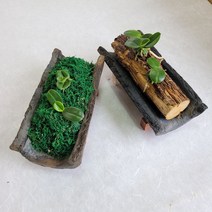 기와화분, 고주박