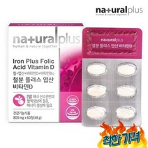 초기 영양제 D 엽산400 철분 1통 폴산 임산부음식 ...