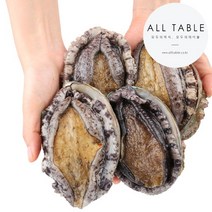 비에이치스토리 완도 활전복 중소 17~20미 1kg 전복선물세트