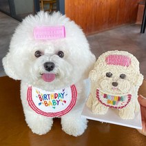 반려묘 애완견 반려견 생일파티 생일용품 생일 생일턱받이, S, 옐로우