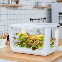 고급 대형 수경재배기 식물재배기 흙없는 텃밭키우기, 화이트