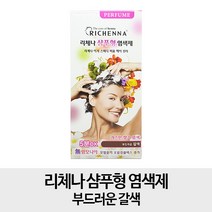 [쇼핑엔티] [리체나] 삼푸형 퍼퓸 염색제 20박스 매니아구성, 20, 자연스러운 흑갈색