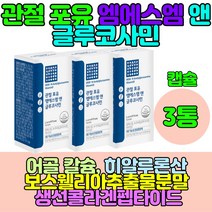 6 개월 NGA 보스월리아관절 엠에스엔 N아세틸글루코사민 조인트 콜라겐형성 뼈건강영양제 출산후 손가락 뼈 연골 무릎연골 손가락연골 손가락관절 손가락뼈 손가락마디 손목관절영양제 조인트파워 msm글루코사민 glucosamine 피시콜라겐