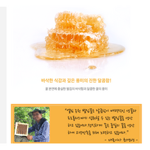 국산 사양꿀 밀랍꿀 꿀벌집 벌집꿀 숙성 생꿀 벌꿀 고급, 벌집꿀 숙성꿀 280g