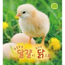 동글동글 달걀이 푸드덕 닭으로, 기탄출판, 편집부 저, 한살이 자연관찰 시리즈