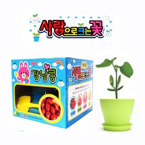 텃밭세트 꽃심기 꽃화분 사랑으로 크는꽃 선택가능(토마토키우기 강낭콩키우기 봉선화꽃키우기), 1개(강낭콩 키우기)