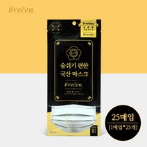 브레센 숨쉬기 편한 국산 일회용마스크 25매, 1박스, 25개