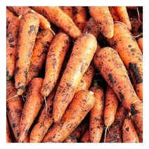 [자연맛남] 국내산 당근 10kg (주스용), 1개