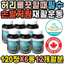 40대 50대 시니어 허벅지 어깨 뒷목 허리 어깨목통증 통증 골반 뼈영양제 척추 뒷목땡김 발목염좌 고관절 증상 재활치료 다리아플때 발저림 교정 손가락 마디 압박 도수치료 골프엘보