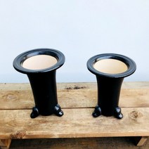 청년농부 풍난분(낙소분)
