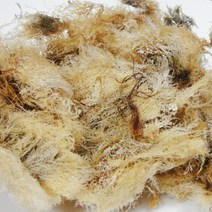 우뭇가사리 1kg 한천원료 묵 우무 식이섬유소가 풍부해요 쪽빛누리, 1개