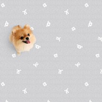 파크론 펫노리터 냄새케어논슬립애견매트 확장형와이드 개린이유치원 140x100