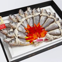 보나리빙 영광 법성포 찜 보리 굴비 선물세트 특대 설 명절 선물세트 특대 10마리, 1. 실속굴비세트 대장대