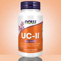 나우푸드 비변성2형 UCII 콜라겐 120정 4개월분